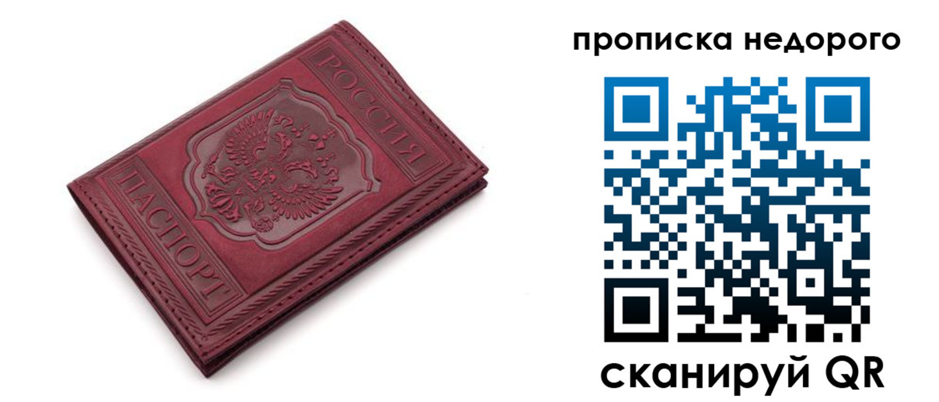 прописка гарантия в Советске